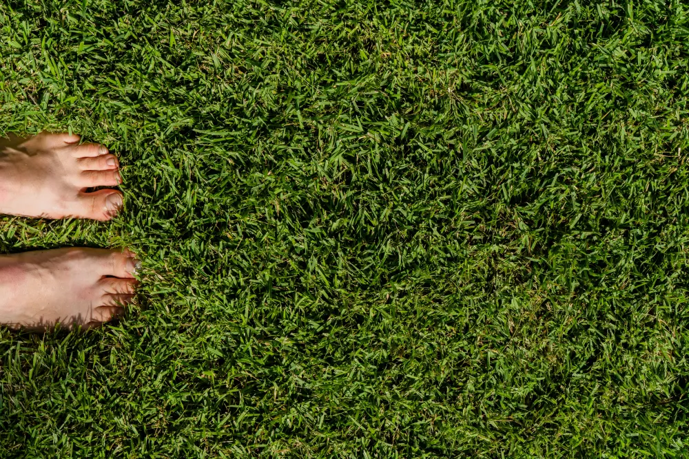 Pair of bare feet standing on a vibrant, healthy green lawn.